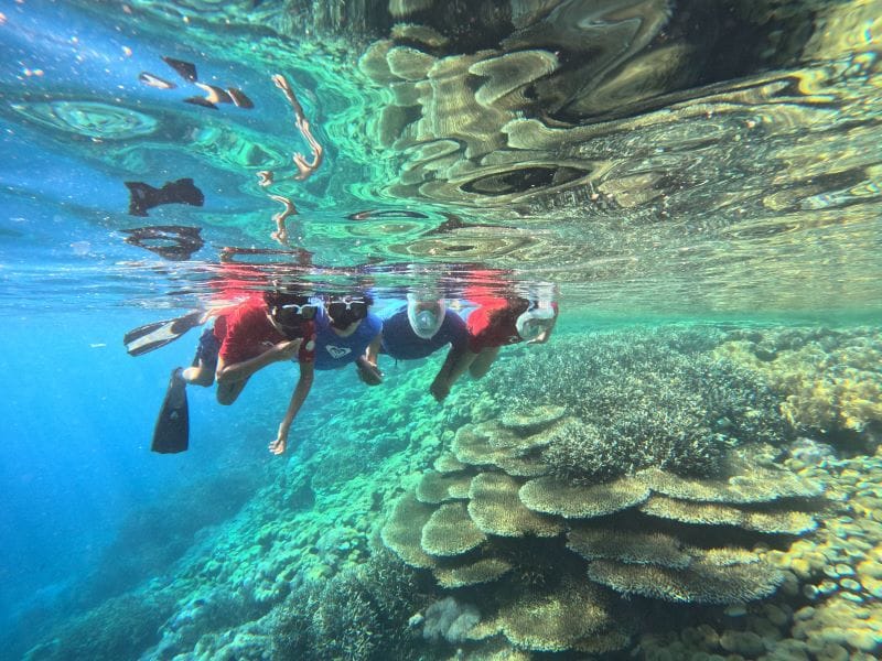 Snorkeling family