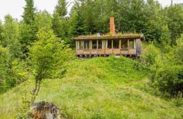 Bunea Wildernishut overdag