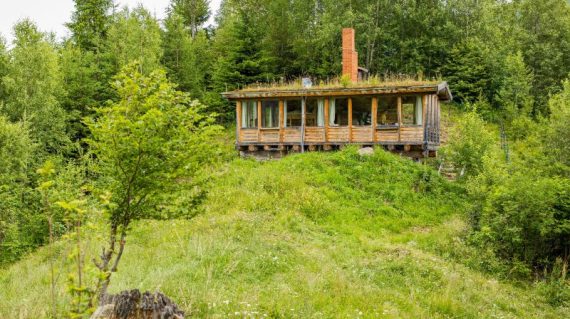 Bunea Wildernishut overdag