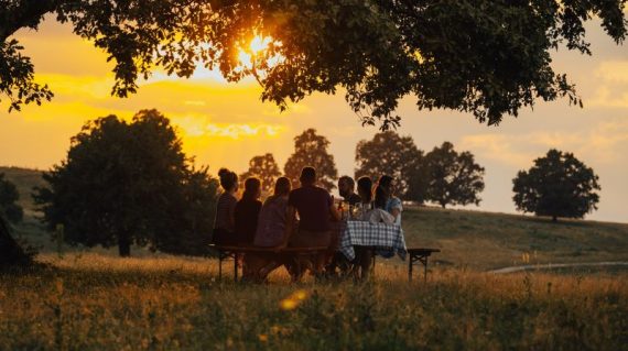 COBOR Biodiversity Farm sunset