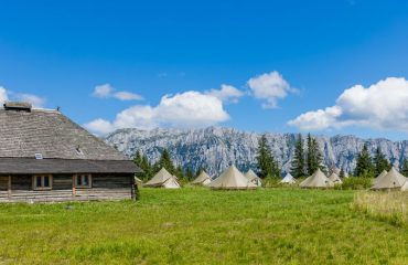 Poianas Tămaș Tented Camp view