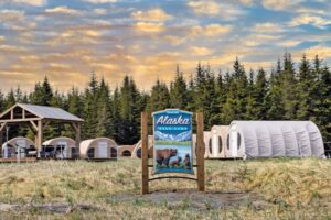 Alaska Bear Camp