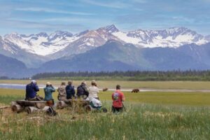 reis Alaska, Beren reis Alaska, Wildlife Alaska, safari alaska