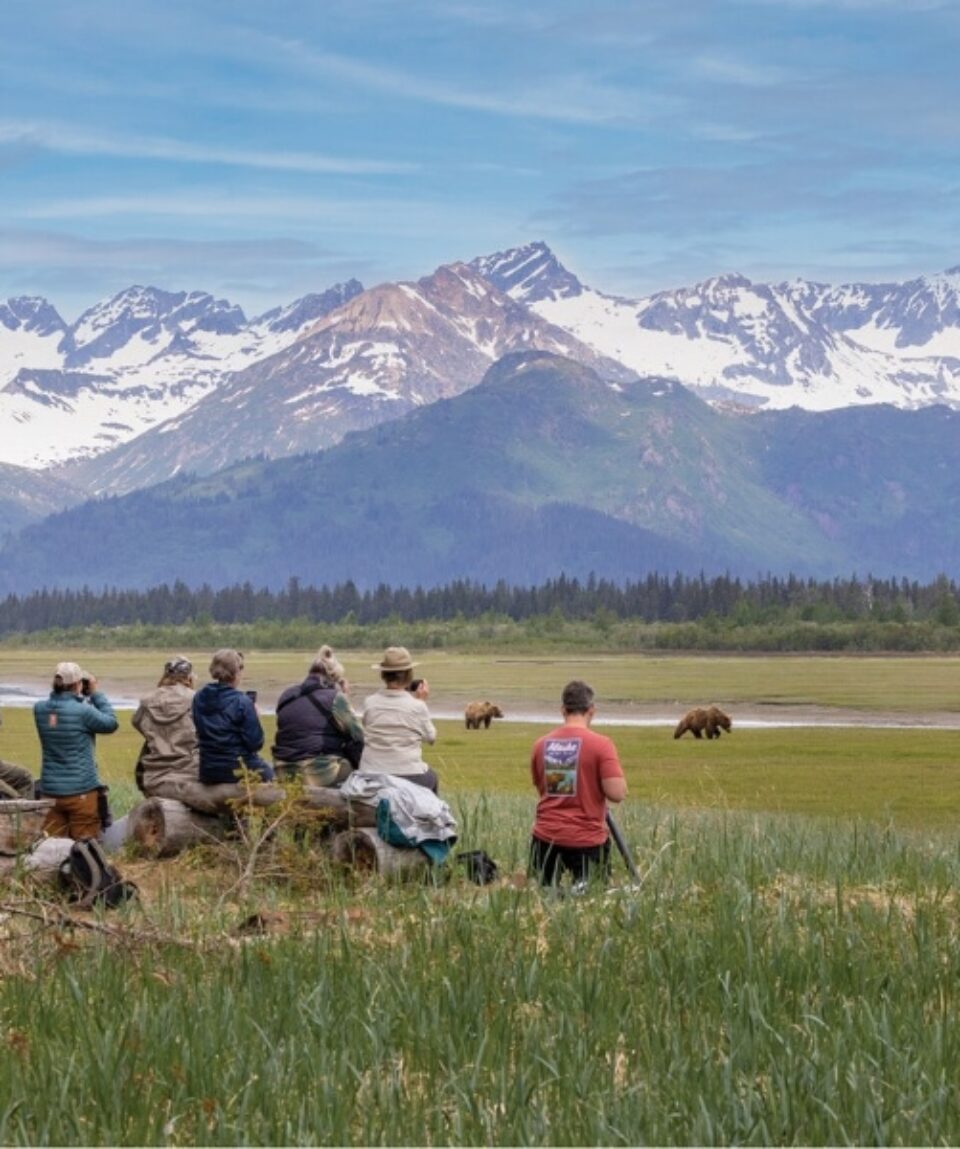 Bear watching bij Alaska Bear Camp