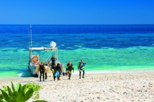 reis wildlife australie, groepsreis australie, wildlife reis australie, safari australie