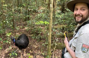 cassowary met gids