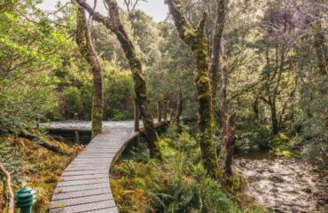 cradle-mountain-lodge-walk ways
