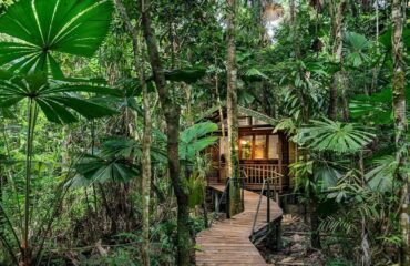 daintree lodge