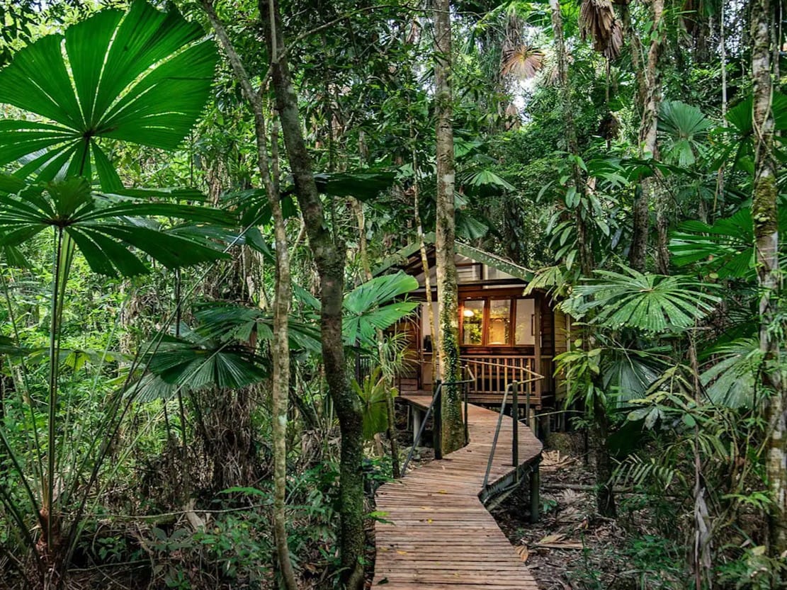 daintree lodge