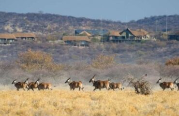 Etosha Heights Safarihoek