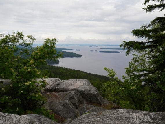 Uitzicht vanaf Koli NP ©All for Nature Travel