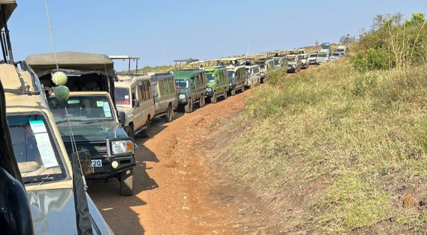 drukte tijdens migratie met dank aan Sadhna Meijer