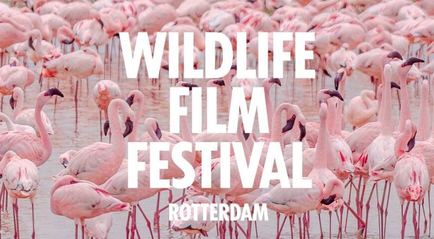 WFFR-Banner-Web3_16bij9