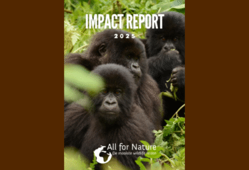 impact report voorzijde 16bij9