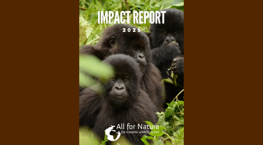 impact report voorzijde 16bij9