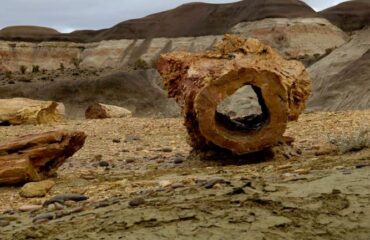 Petrified Forest Sarmienti_Monumento Nacional