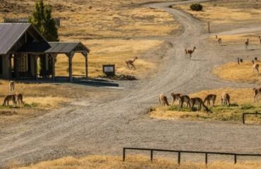 La Posta de los Toldos Guanacos