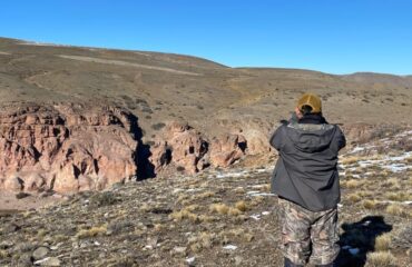 Puma tracker Parque Patagonia ©All for Nature Travel